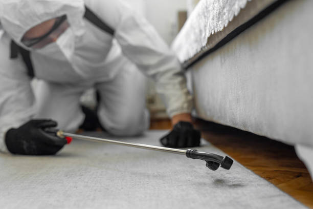 Professional Ant Control technician working in Calera, AL