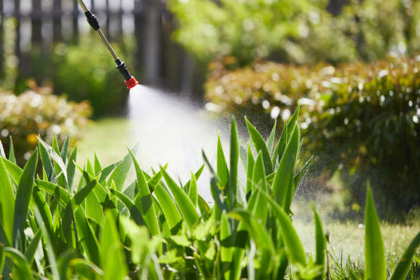 24/7 Emergency Ant Control experts in Calera, AL