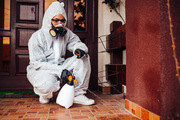 Reliable Ant Control contractor in Calera, AL by Show Me Pest Control